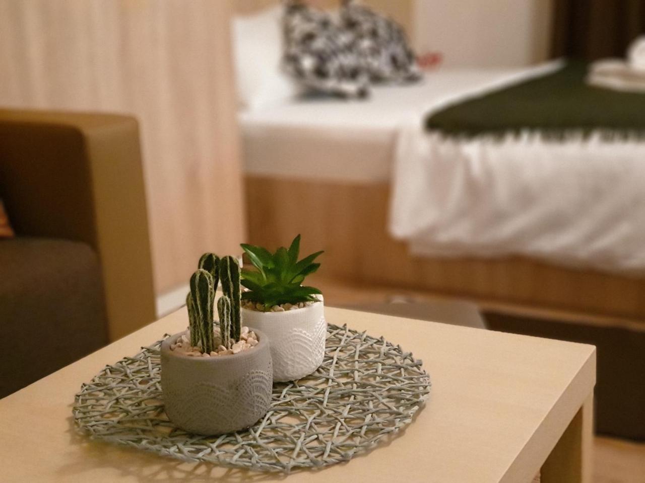 Apartment Alla Fundeni *